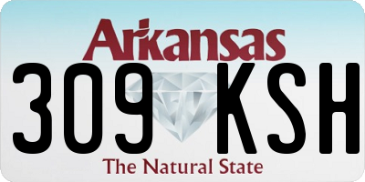 AR license plate 309KSH