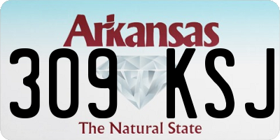 AR license plate 309KSJ