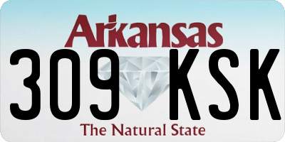 AR license plate 309KSK