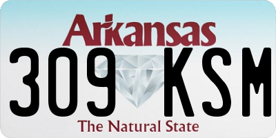 AR license plate 309KSM