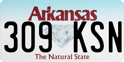 AR license plate 309KSN