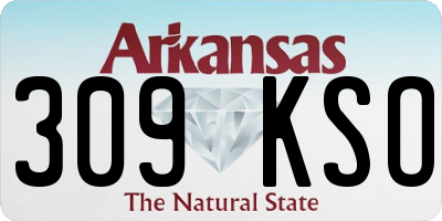 AR license plate 309KSO