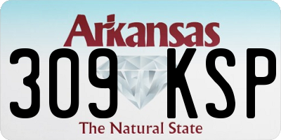 AR license plate 309KSP