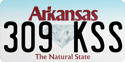 AR license plate 309KSS