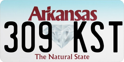 AR license plate 309KST