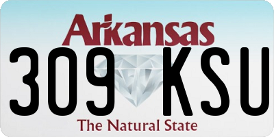AR license plate 309KSU