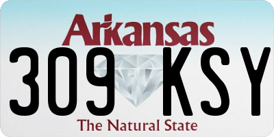 AR license plate 309KSY