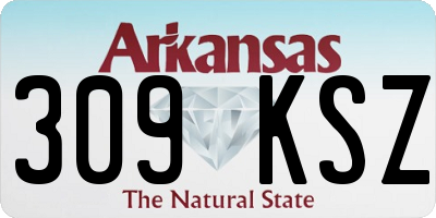 AR license plate 309KSZ
