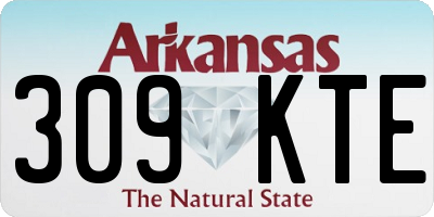 AR license plate 309KTE