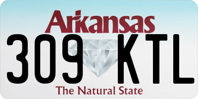 AR license plate 309KTL
