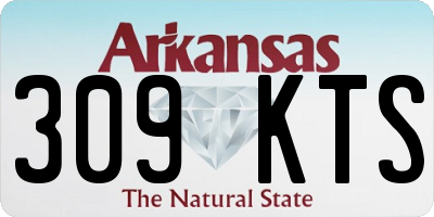 AR license plate 309KTS
