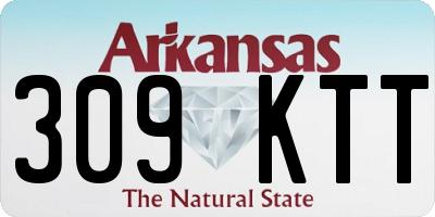 AR license plate 309KTT