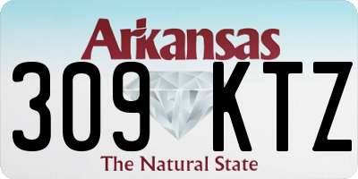 AR license plate 309KTZ