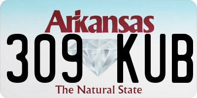 AR license plate 309KUB