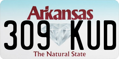 AR license plate 309KUD