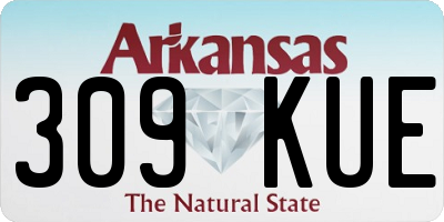 AR license plate 309KUE