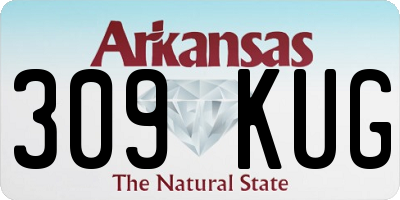 AR license plate 309KUG