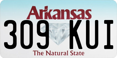AR license plate 309KUI