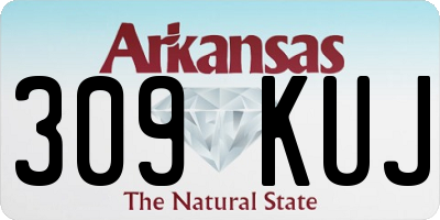 AR license plate 309KUJ