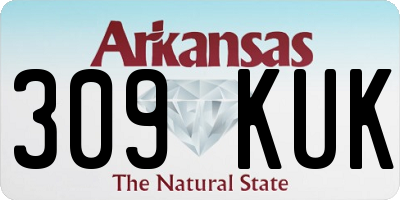 AR license plate 309KUK