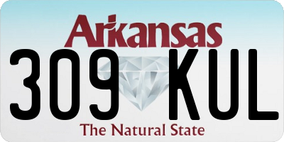 AR license plate 309KUL