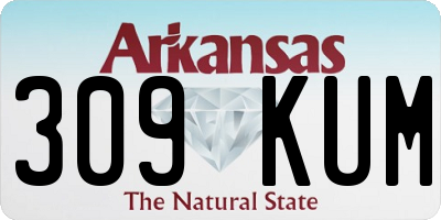AR license plate 309KUM