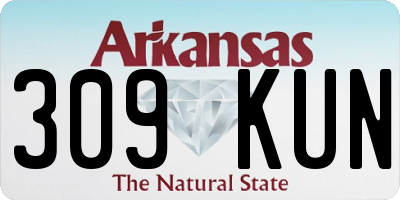 AR license plate 309KUN