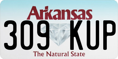 AR license plate 309KUP