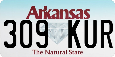 AR license plate 309KUR
