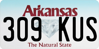 AR license plate 309KUS
