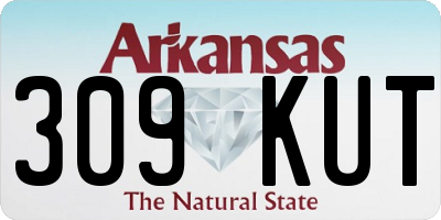 AR license plate 309KUT