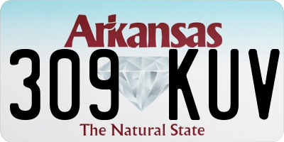 AR license plate 309KUV
