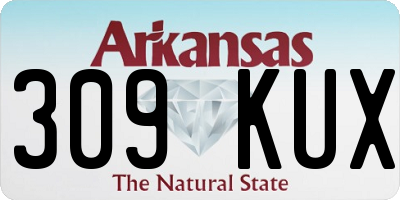 AR license plate 309KUX