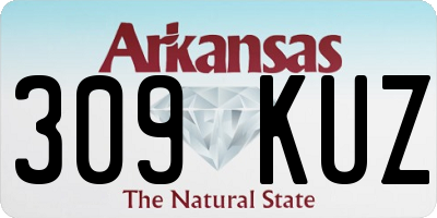 AR license plate 309KUZ