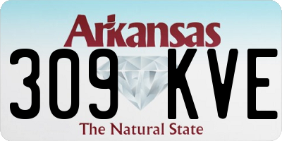 AR license plate 309KVE