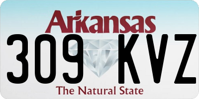 AR license plate 309KVZ