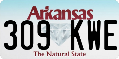AR license plate 309KWE