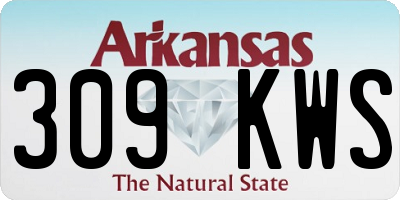 AR license plate 309KWS