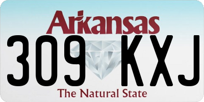 AR license plate 309KXJ