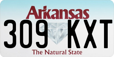 AR license plate 309KXT