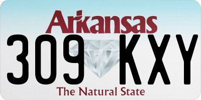 AR license plate 309KXY