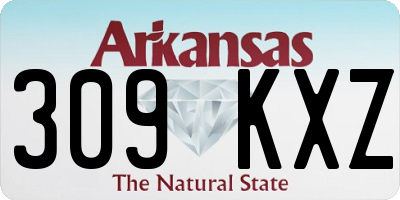 AR license plate 309KXZ