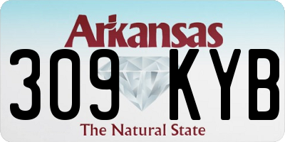 AR license plate 309KYB