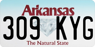 AR license plate 309KYG
