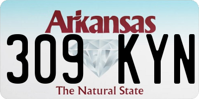 AR license plate 309KYN