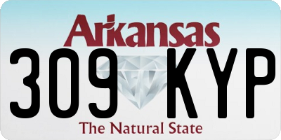 AR license plate 309KYP