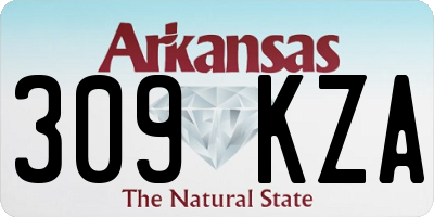 AR license plate 309KZA