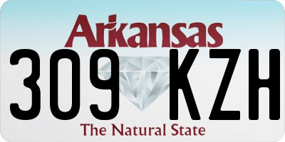 AR license plate 309KZH