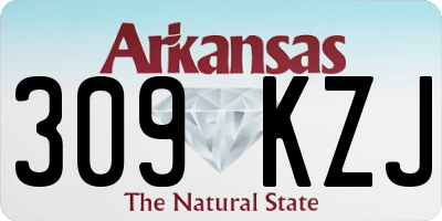 AR license plate 309KZJ