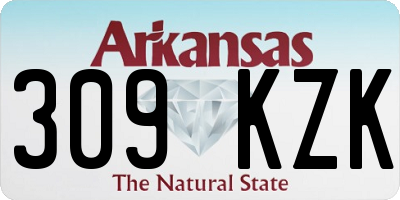 AR license plate 309KZK